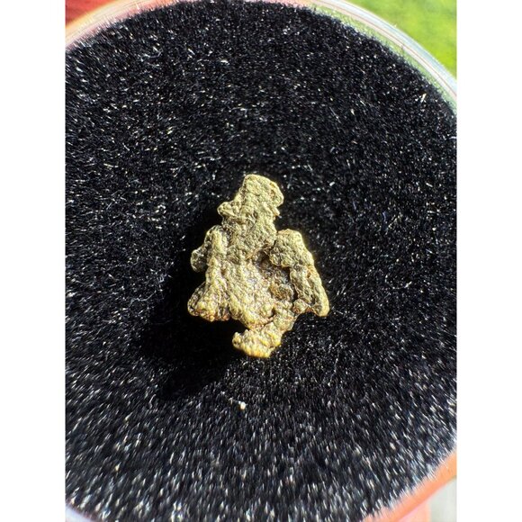 California Native Gold Crystal - 0.27 grams - Picture 4 of 6